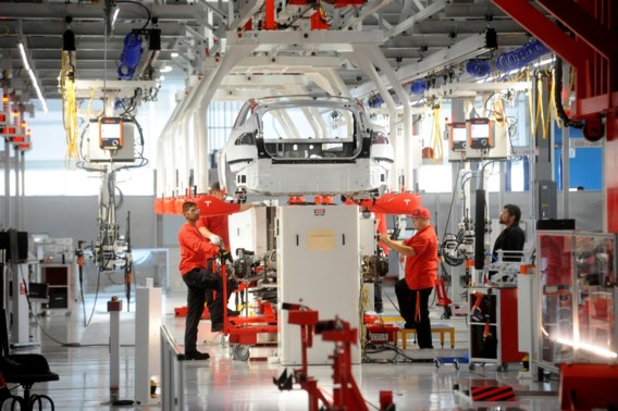 ‘Vlaanderen nog op shortlist voor Tesla-fabriek’