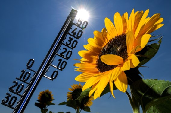 Wen maar snel aan die hitte, het wordt alleen maar erger | De Standaard