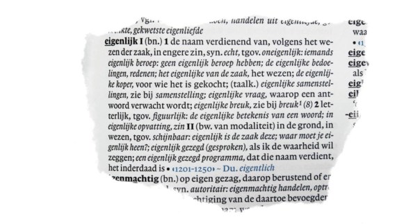 Wat betekent flirten van dale