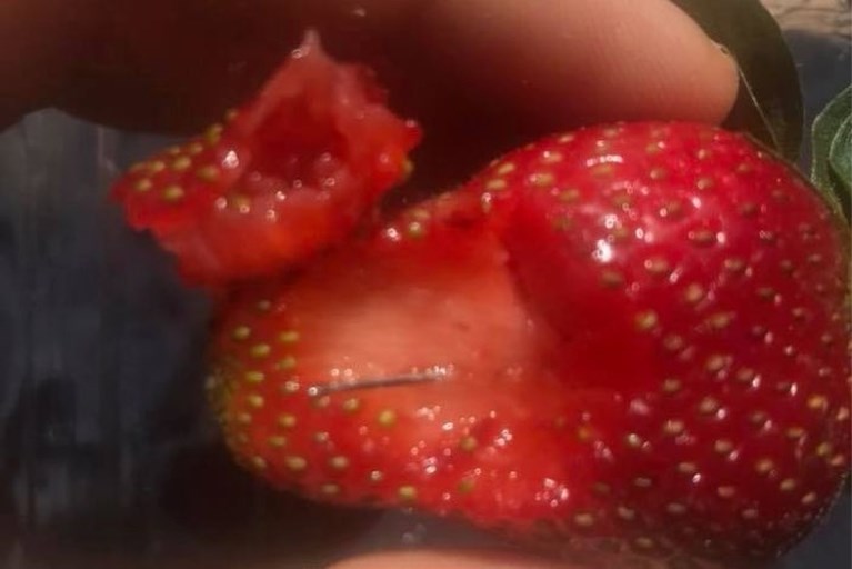 Wie, o wie verstopt naalden in aardbeien in Australië?