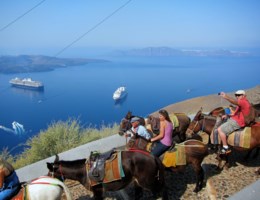 Zware toeristen mogen niet meer op ezels op Santorini