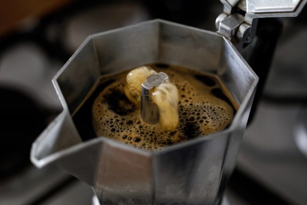 pols Christchurch kleur Iconische koffiepot met uitsterven bedreigd | De Standaard Mobile