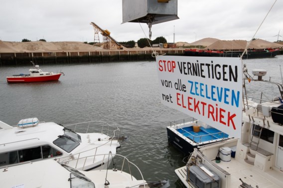 Nieuw protest tegen vissen met stroomstoten: ‘Oneerlijke concurrentie’