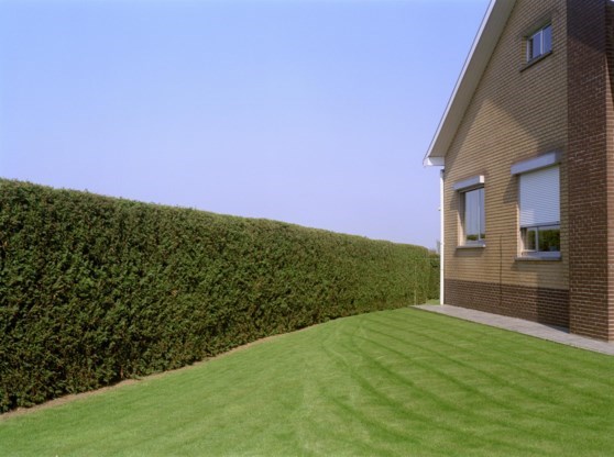 Kom ik in aanmerking voor de woonbonus als ik niet zelf in mijn huis woon?