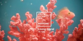 2019 zal koraal kleuren