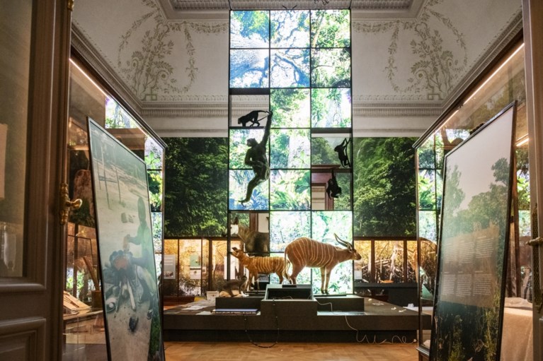 De Croo opent AfricaMuseum met een belofte