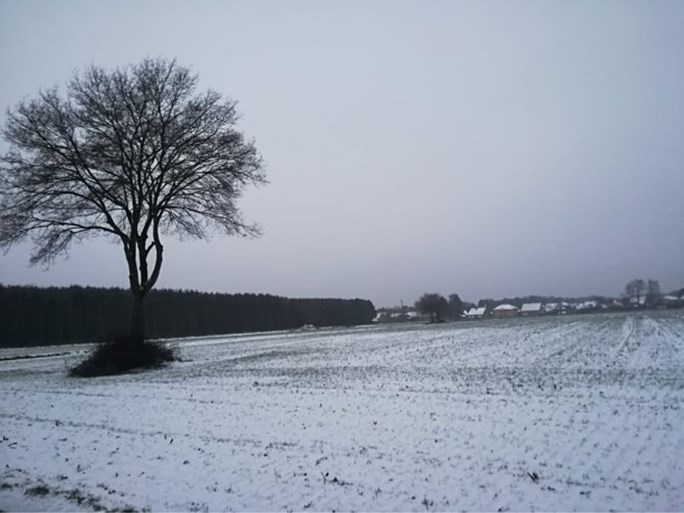 Winterse taferelen in Limburg en de Ardennen