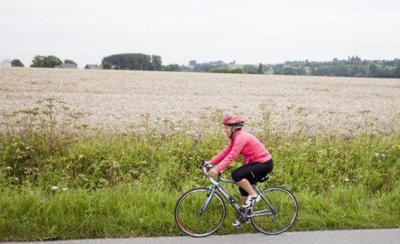 Joke Schauvliege, de vrouw zonder eigenschappen die maar slaag bleef krijgen