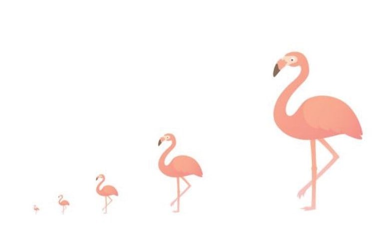 Nieuwe emoji’s op komst: meer diversiteit, flamingo en falafel