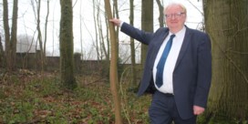 Burgemeester van Beersel wil bevolkingsstop ‘om groen en Vlaams karakter te behouden’