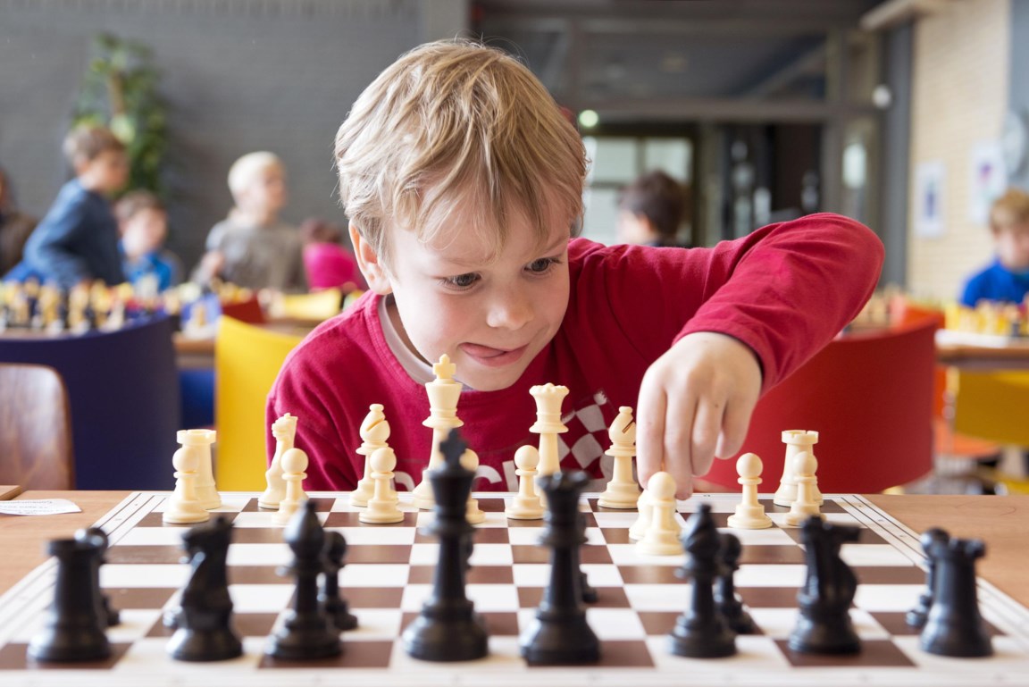 Tijd Appartement ik zal sterk zijn Van schaken word je niét slimmer (en andere verhalen) | De Standaard Mobile