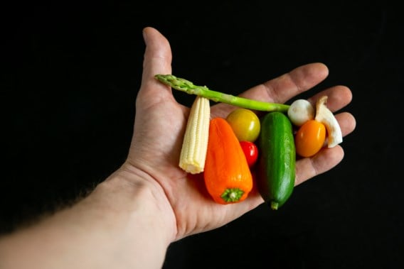 Stuur ons hier uw vragen over voeding