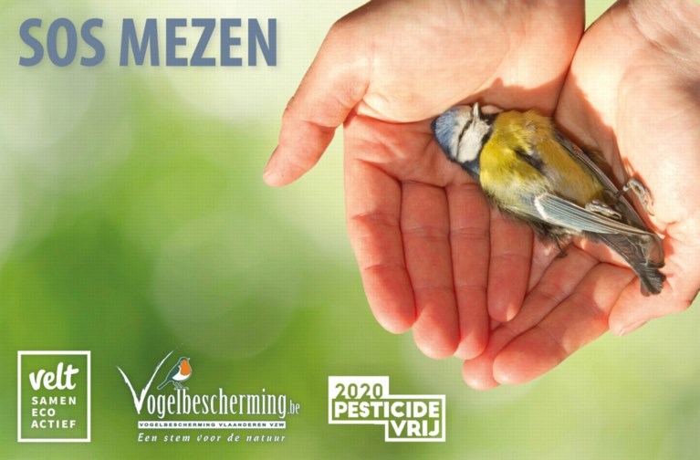 ‘Steek een dood meesje in je diepvries, zodat we het kunnen controleren op vergif’