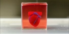 Primeur: onderzoekers printen voor het eerst kloppend hart met 3D-printer