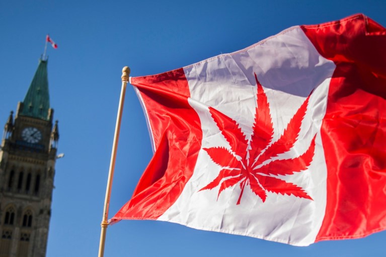 Legale Cannabis? Alleen de prijzen worden ‘high’