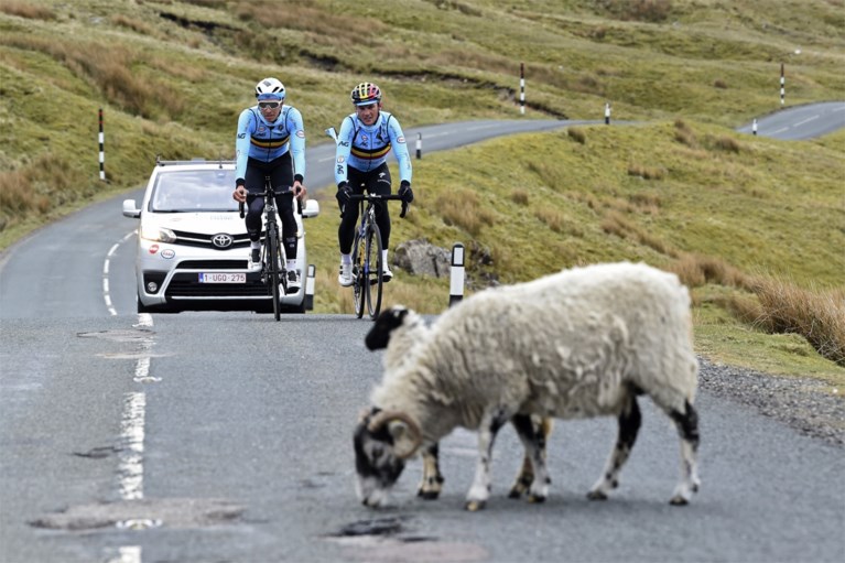 Belgen verkennen WK-parcours in het rustieke maar loodzware Yorkshire: “Dit moet ons liggen”