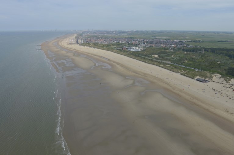 Minder garnalen en meer exoten in de Noordzee