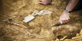 Menselijke beenderen gevonden nabij Waterloo: ‘Belangrijke ontdekking’