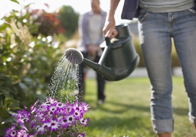 ZOMERCHECK. 'Is om hitte planten water te geven?' | De Standaard Mobile