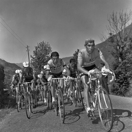 Voormalig Tourwinnaar Felice Gimondi overleden