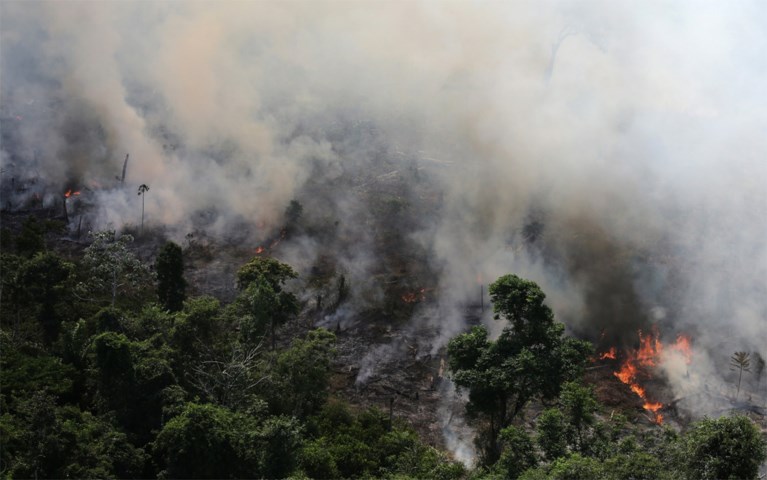 Bolsonaro beschuldigt ngo’s ervan bosbranden zelf te hebben aangestoken