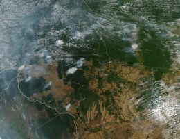 Satellietbeelden tonen de vele bosbranden in Amazonewoud