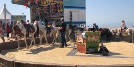 Protest tegen ponycarrousel op zeedijk Middelkerke