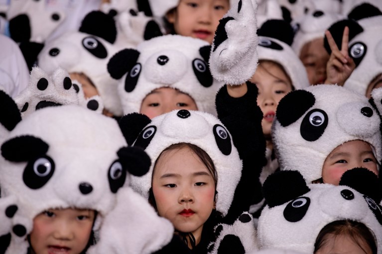Deze panda wordt de mascotte van de Winterspelen in China