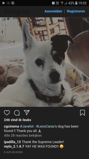 Verdwaalde hond terecht na oproep Star Wars-acteur