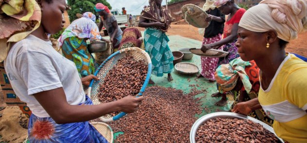 Zo helpen Belgische landbouwers vrouwelijke cacaoboeren in Afrika