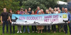 'Ecoduct over A12 is nodig'