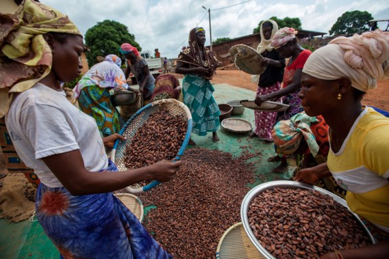 Zo helpen Belgische landbouwers vrouwelijke cacaoboeren in Afrika