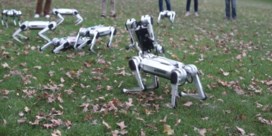Deze robothonden kunnen nu ook voetbal spelen