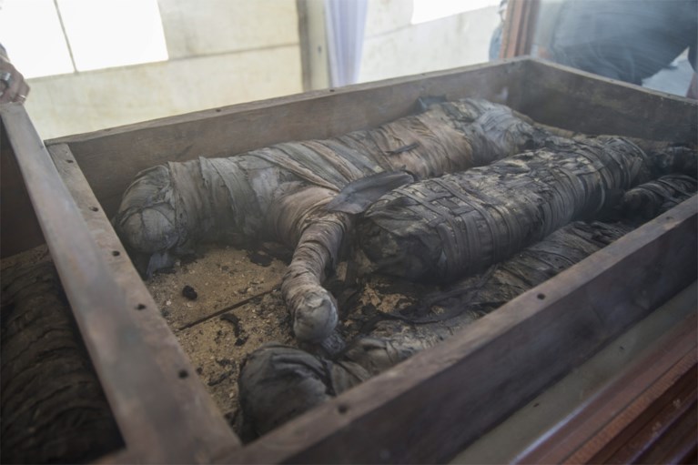 Mogelijk voor het eerst gemummificeerde leeuwenwelpjes ontdekt in Egypte