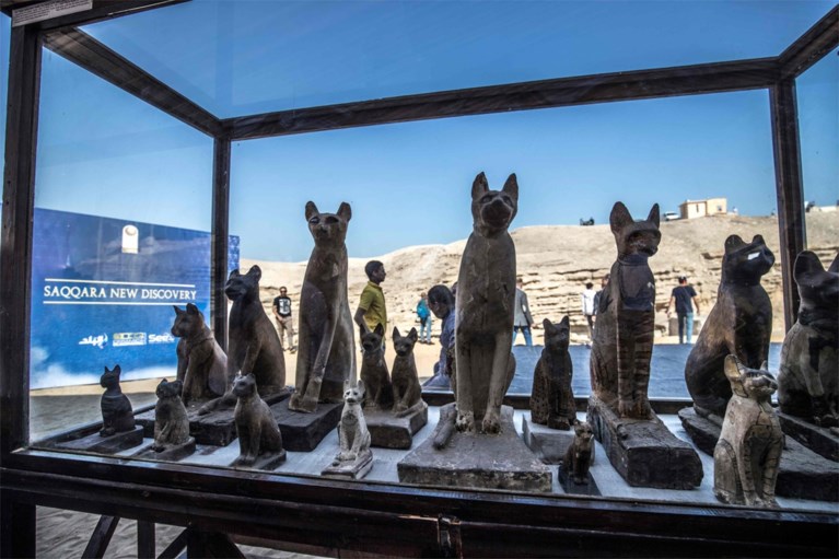Mogelijk voor het eerst gemummificeerde leeuwenwelpjes ontdekt in Egypte