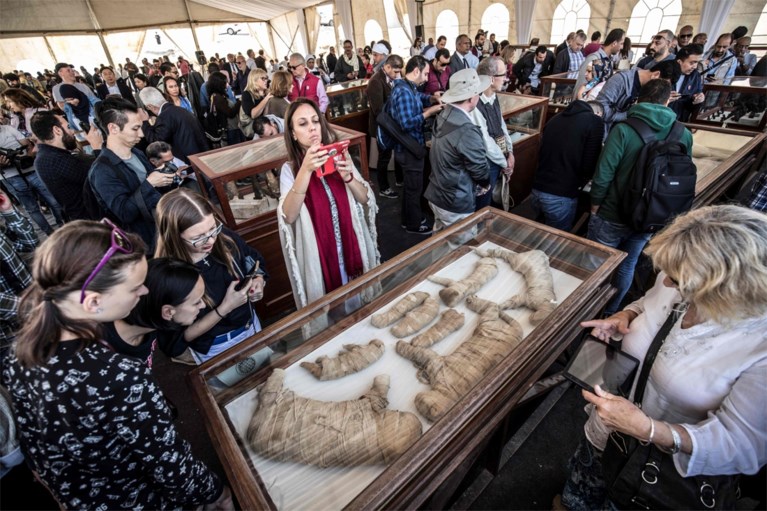 Mogelijk voor het eerst gemummificeerde leeuwenwelpjes ontdekt in Egypte