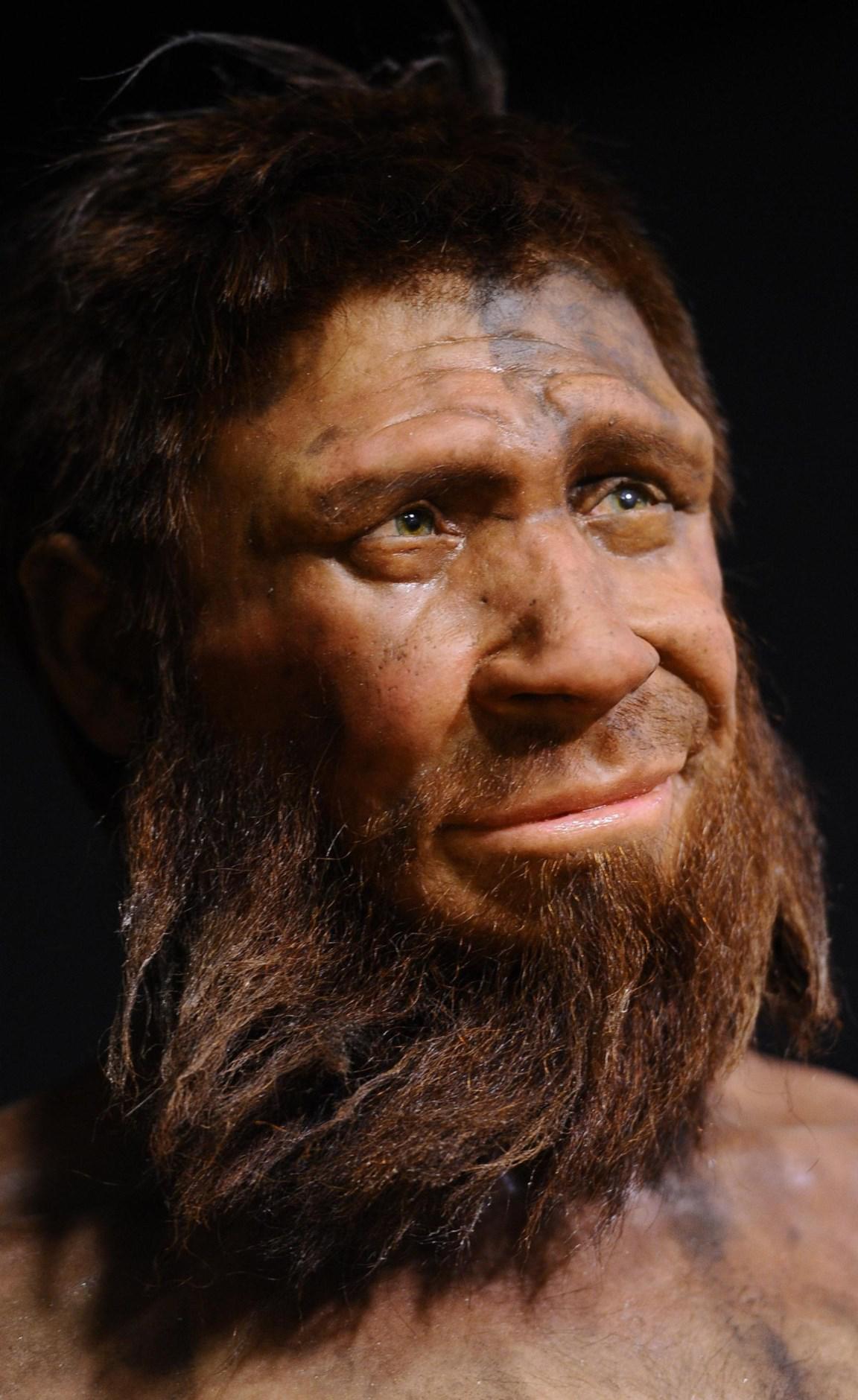 Неандерталец (homo Neanderthalensis)