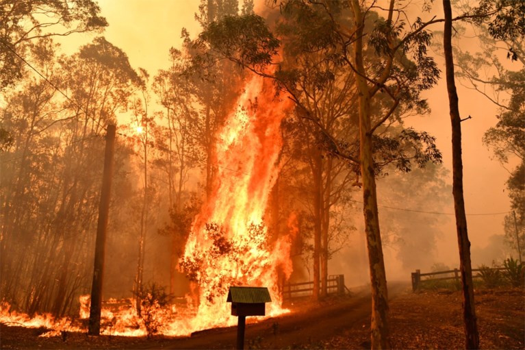 ‘Megabrand’ in Australië dreigt huizen te verwoesten