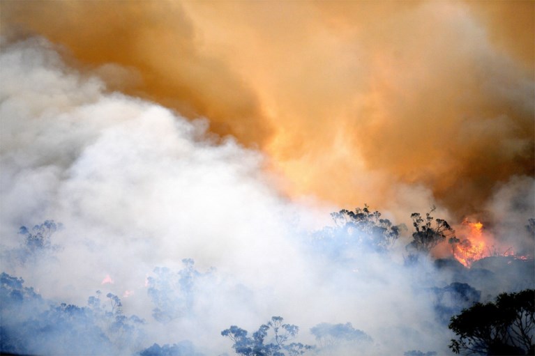 Sydney gehuld in dikke rook: luchtkwaliteit zeer slecht