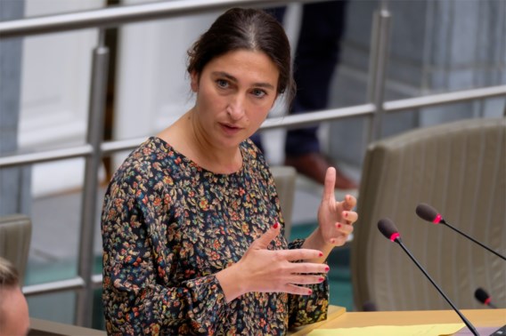 Minister Demir kan naar Madrid: Vlaamse regering bereikt akkoord over klimaatplan