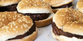Het jaar van de plantaardige hamburger