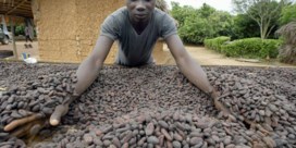 Cacaokartel dreigt uw chocolade duurder te maken