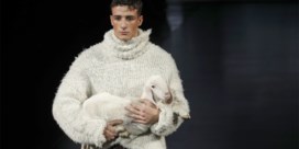 Dolce & Gabbana neemt lammetje mee op de catwalk
