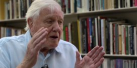 ‘Het crisismoment is aangebroken’ waarschuwt David Attenborough