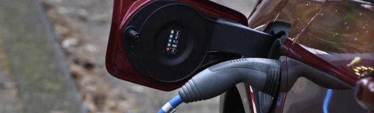 Waarom mannen zo in elkaar zitten, linkse populisten in het zand bijten en oude dieselrijders de nieuwe zondebokken zijn