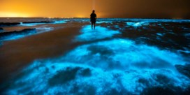 Fotograaf legt bijzonder lichtgevend plankton vast