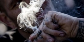 'Laat gecontroleerde vzw's cannabis aanbieden'