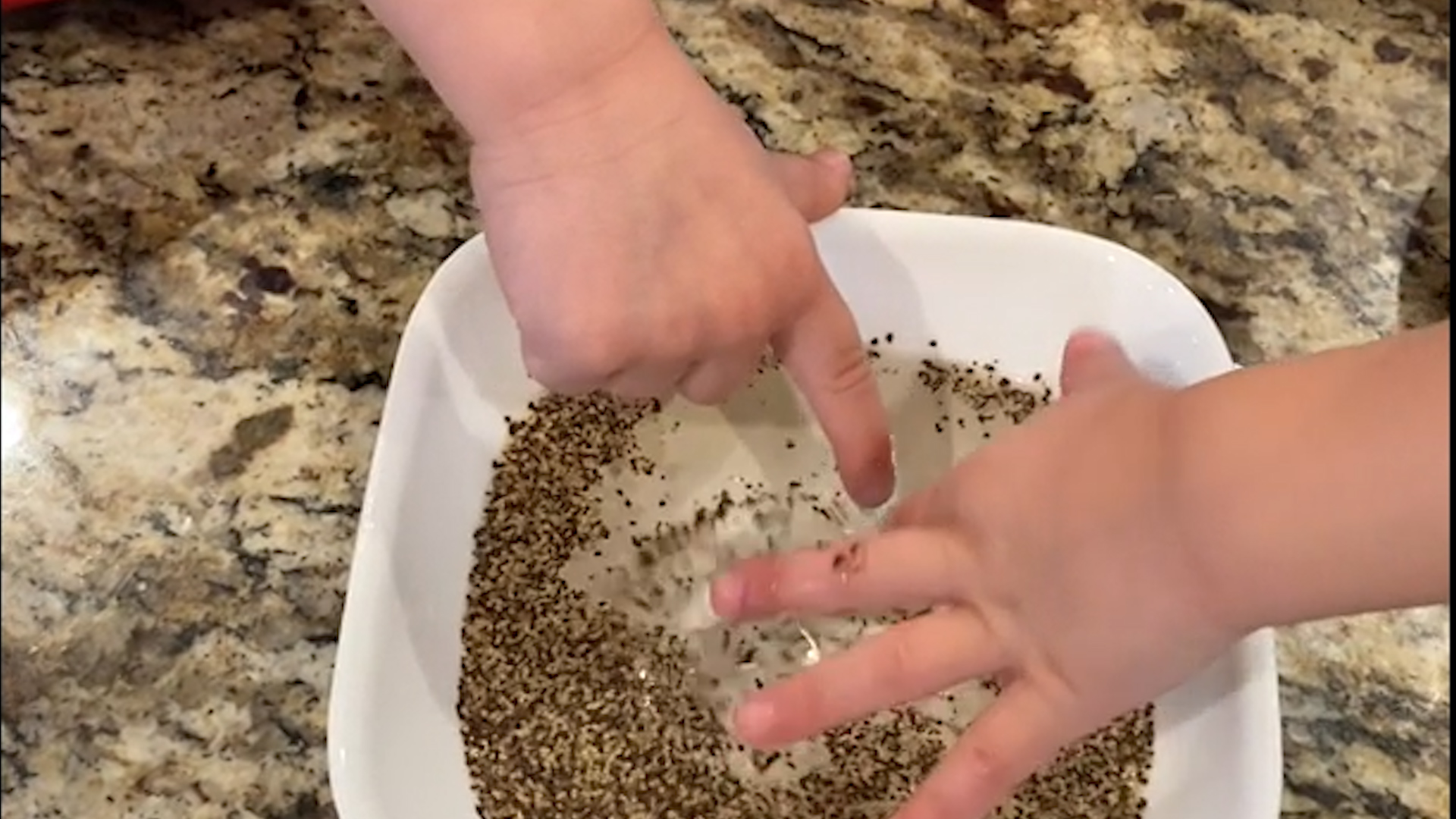 Kinderen Leren Met Peper En Kommetje Water Belang Van Handen Wassen