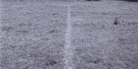 'A line made by walking' (1967)