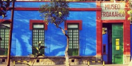 Virtueel op bezoek bij Frida Kahlo